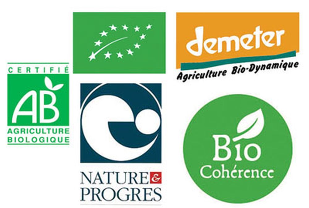 logos bio
