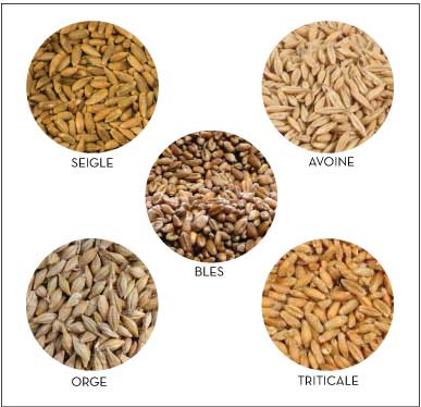 CEREALES-SABOT